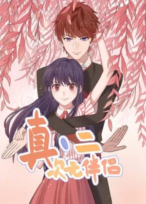 2D Partner