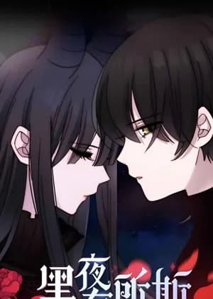 Fall in the Night with You