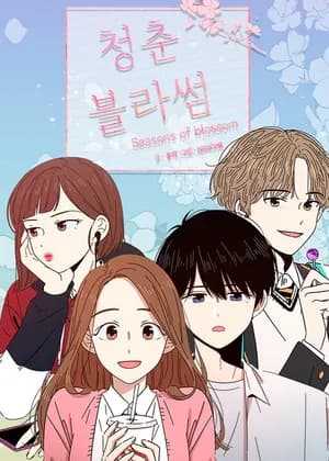 Seasons of Blossom