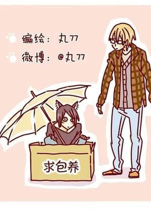 Raising a Human cat