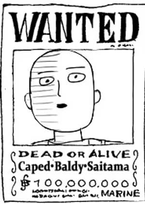 One-Punch Man - Saitama in the One Piece Universe (Doujinshi)