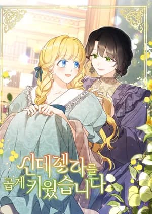 A Wicked Tale of Cinderella's Stepmom