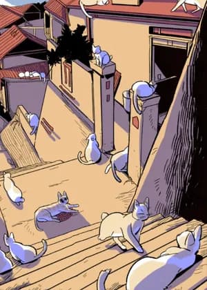 Welcome to the Island of Cats