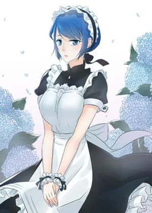 5pm Maid